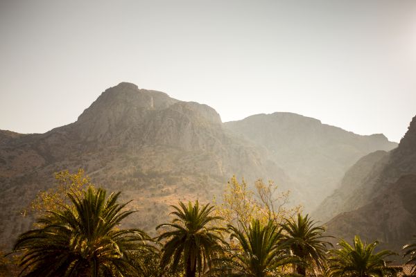 The image shows a mountainous landscape with tall peaks in the background and palm trees in the foreground under a clear sky.