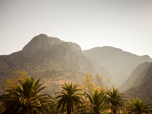 The image shows a mountainous landscape with tall peaks in the background and palm trees in the foreground under a clear sky.