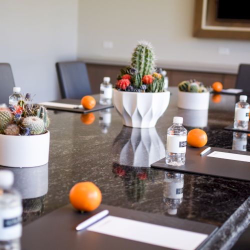 A conference table set with cacti centerpieces, bottled water, oranges, and notepads in a modern meeting room.