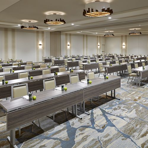 A conference room with rows of tables and chairs, set up for a meeting or event, decorated with small green plants on each table.